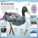 Do You Know About Animals? Preview 2