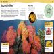 Do You Know About Animals? Preview 3
