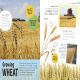 Food Like Mine Preview 2