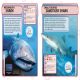 Sharks and Other Deadly Ocean Creatures Preview 4