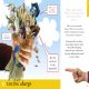 All About Politics Preview 1