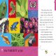 All About Biology Preview 1