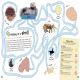 Ocean Ultimate Sticker Book Preview 3