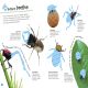Bugs Ultimate Sticker Book Preview 2