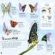 Bugs Ultimate Sticker Book Preview 4