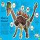 DKfindout! Dinosaurs Preview 1