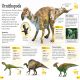DKfindout! Dinosaurs Preview 2