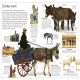 Horse Preview 2