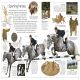 Horse Preview 4