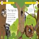 Forest Life and Woodland Creatures Preview 1