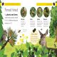 Forest Life and Woodland Creatures Preview 3