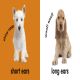 Baby Touch and Feel: Puppies Preview 1