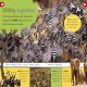My Encyclopedia of Very Important Animals Preview 3