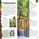 Woodland and Forest Preview 4
