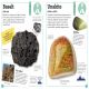 My Book of Rocks and Minerals Preview 2