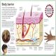 My Amazing Body Machine Preview 3