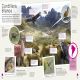 Children's Illustrated Animal Atlas Preview 2