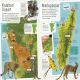 Children's Illustrated Animal Atlas Preview 3