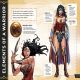 DC Wonder Woman Warrior for Justice! Preview 1