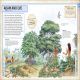 Bible Characters Visual Encyclopedia Preview 1