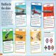 DKfindout! World War I Preview 1