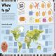 The Travel Activity Book Preview 1