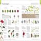 The Visual Encyclopedia Preview 2