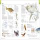 The Visual Encyclopedia Preview 3