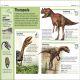 Pocket Eyewitness Dinosaurs Preview 2