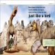 Pocket Eyewitness Dinosaurs Preview 3