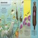The Sea Book Preview 3