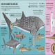 The Sea Book Preview 4