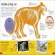 DKfindout! Big Cats Preview 3