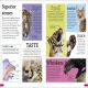 DKfindout! Big Cats Preview 4