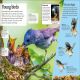DKfindout! Birds Preview 2