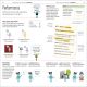 How to be Good at English, Ages 7-14 (Key Stages 2-3) Preview 4