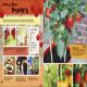 RHS Let's Get Gardening Preview 2