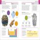 Super Simple Chemistry Preview 1