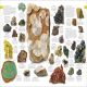 The Natural History Book Preview 1