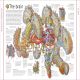 Stephen Biesty's Incredible Body Cross-Sections Preview 2
