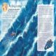 The Mayflower Preview 2