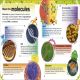 The DNA Book Preview 2