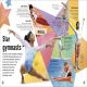 My Book of Gymnastics Preview 3