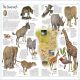 The Animal Atlas Preview 2