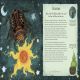 The Book of Mythical Beasts and Magical Creatures Preview 4