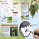 Bug Hunter Preview 1