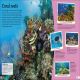 DKfindout! Oceans Preview 3