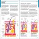 First Aid Manual 11th Edition Preview 3