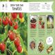 The No-Cook Cookbook Preview 1