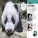 Behind the Scenes at the Zoo Preview 1